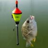 Bóia de Pesca Automática + Brinde